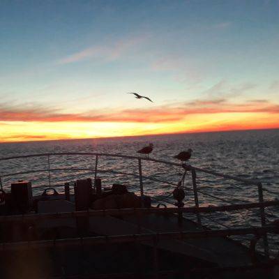 joel77_13031