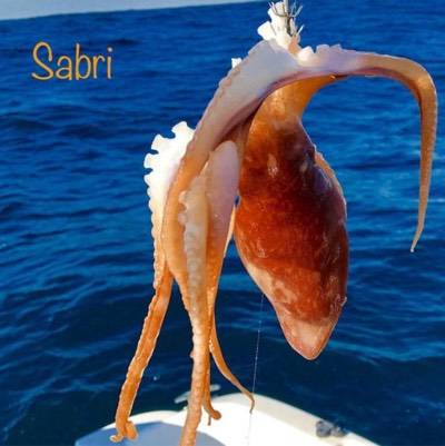 sabri_robinetstone_12544