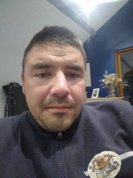 le_chat_cibeinsois_19067
