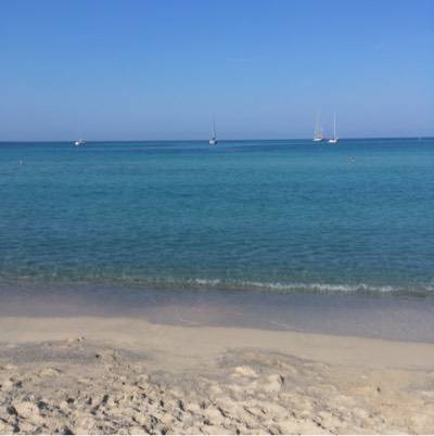davidsebag1_13604