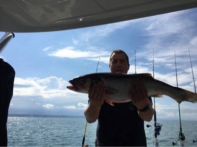 webl_6176
