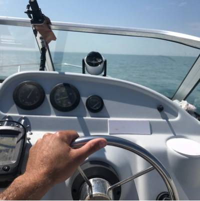 olivier_niort_11381