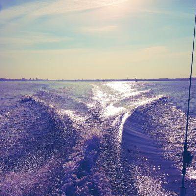 vanille_fraise_17_17030