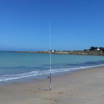 jm55_bogaerts_12892