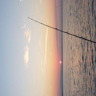 danielbernard318_15215