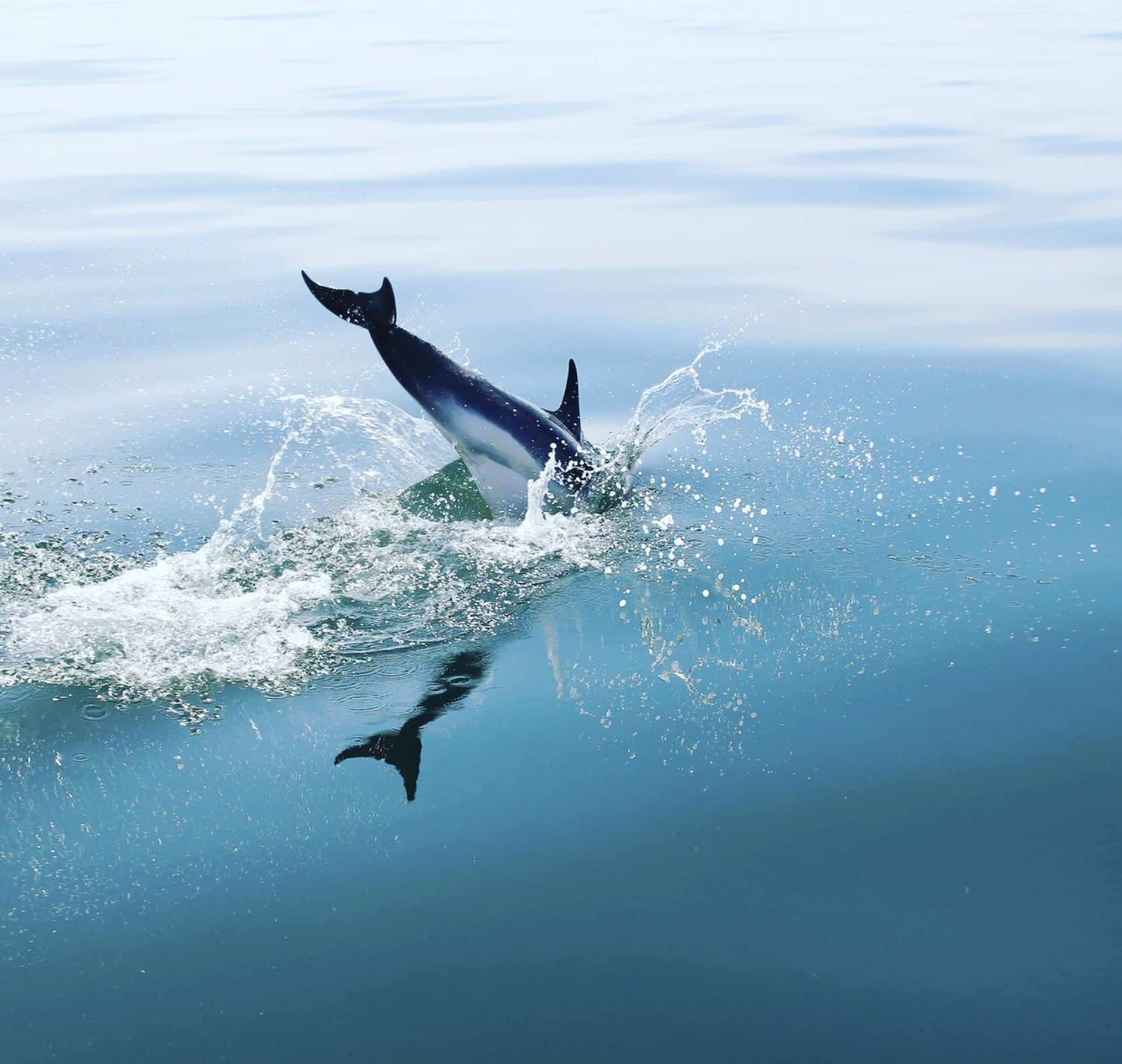 Sortie en mer le week-end en juillet : partage et convivialité